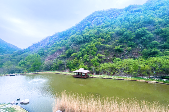 九公山长城纪念林封面图