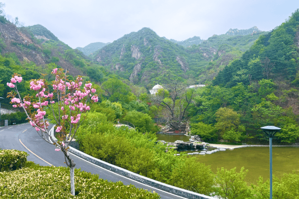 九公山长城纪念林视频封面图